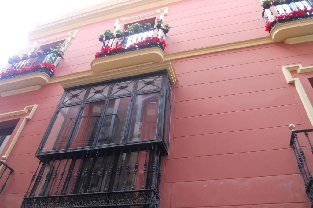Cheap & Chic In The Center Of Sevilla 外观 照片